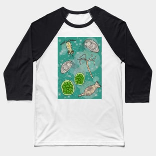 Freshwater Organisms Baseball T-Shirt